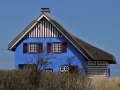 DSC0532