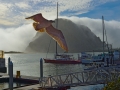 Morro Bay