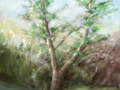 Cherry fork