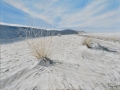 white_sands